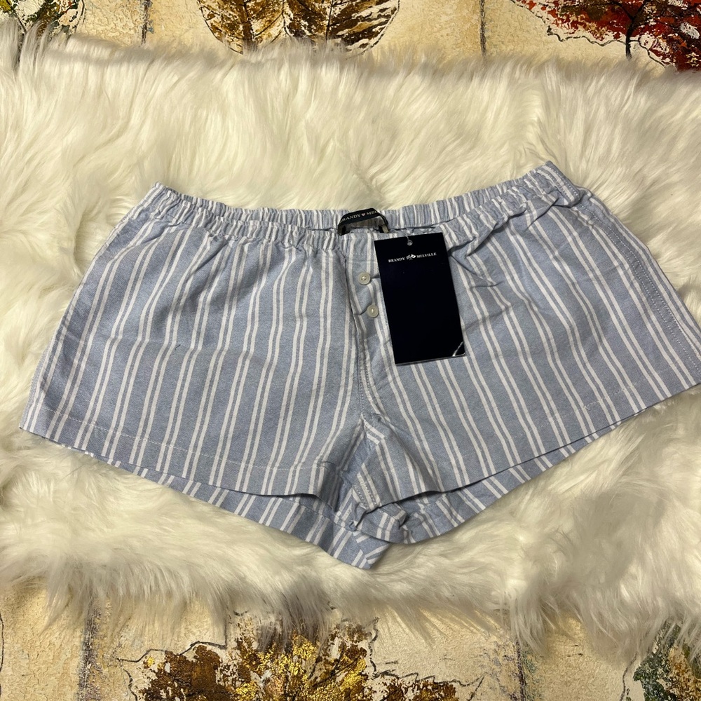 Brandy Melville Light Blue Striped Shorts